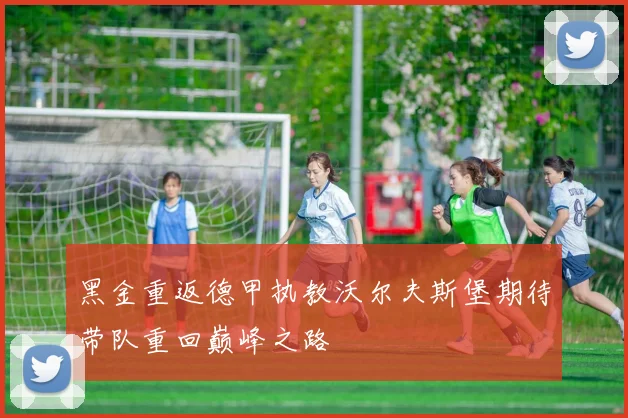 黑金重返德甲执教沃尔夫斯堡期待带队重回巅峰之路