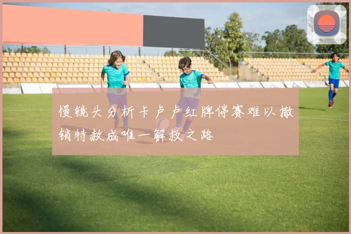 慢镜头分析卡卢卢红牌停赛难以撤销特赦成唯一解救之路