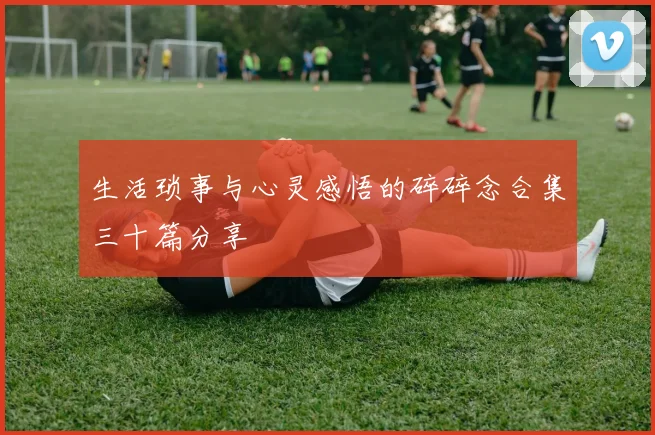 生活琐事与心灵感悟的碎碎念合集三十篇分享