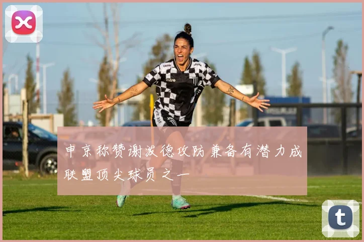 申京称赞谢泼德攻防兼备有潜力成联盟顶尖球员之一